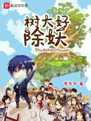 树大易招风是什么意思 树大易招风是什么意思