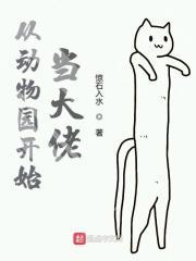 从动物管理局开始穿越