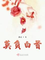 莫负少年头作者 莫负少年头作者