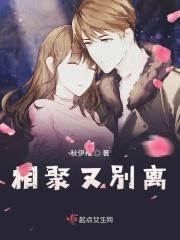 相聚又分离是什么歌