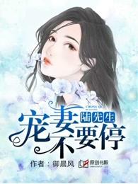 陆先生宠妻无限