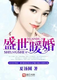 盛世暖婚简言免费阅读
