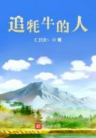 牦牛追车 牦牛追车