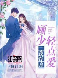 一夜惊喜顾少霍念念 一夜惊喜顾少霍念念