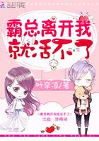 霸总离开我就活不了 叶奈凉