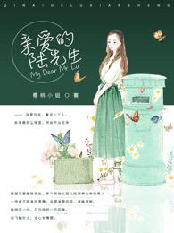 亲爱的陆先生陆泽承全文免费 亲爱的陆先生陆泽承全文免费