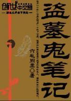 盗墓笔之终极笔记电视剧