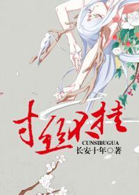 武林秘闻录图片