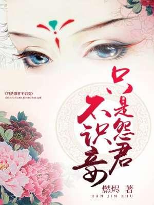 只是怨君不识妾的上一句 只是怨君不识妾的上一句