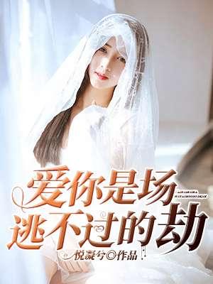 爱你是场逃不过的劫 一轮明月 爱你是场逃不过的劫 一轮明月