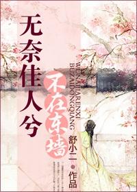 穿越之太子妃谋略