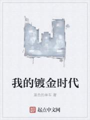 我的镀金时代TXT 我的镀金时代TXT