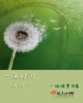 一点时光 一点时光
