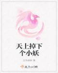 天上掉下个小狐妖 天上掉下个小狐妖