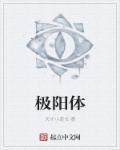 极阳之体是什么