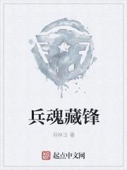 兵魂之弋 兵魂之弋