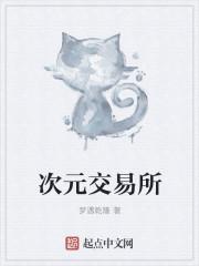 次元币充值 次元币充值