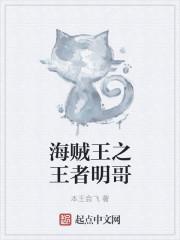 海贼王之明哥我喜欢你 海贼王之明哥我喜欢你