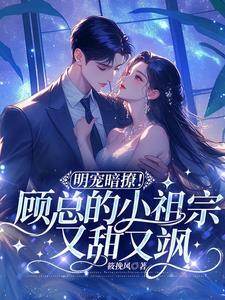 顾总的小奶包又甜又撩九世浮兮