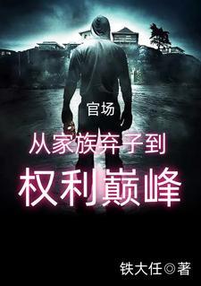 官场从家族弃子到权利巅峰 在线阅读 官场从家族弃子到权利巅峰 在线阅读