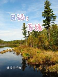 日记系统动画 日记系统动画