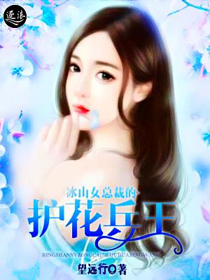 冰山女总裁的护花兵王!