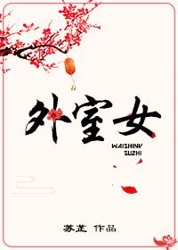 外室女替嫁之后水渺免费阅读TXT