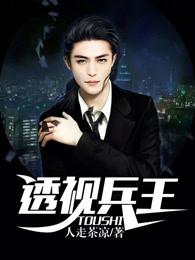 透视兵王电子书