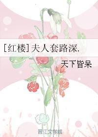 红楼夫人套路深百度