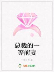 总裁的前妻温暖免费阅读