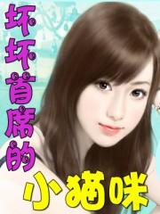 坏坏猫安装 坏坏猫安装