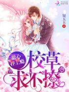 嗨国民校草全文txt