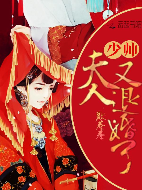 少夫人又退婚了全文免费阅读