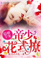 隐婚送萌宝帝少