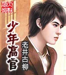 少年高官无弹窗免费阅读 少年高官无弹窗免费阅读
