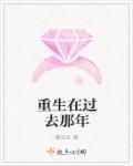 重生到过去年代仅年