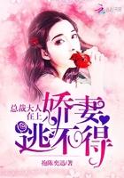 总裁大人宠妻入骨全文免费阅读