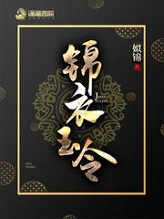 锦衣玉令的结局如何