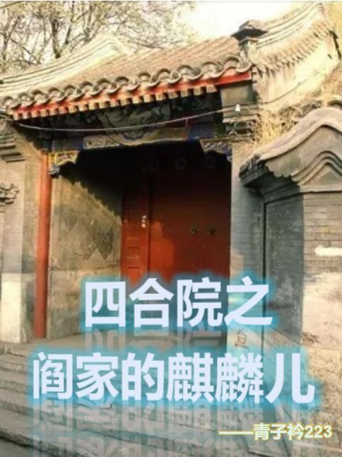 情满四合院之阎解成 情满四合院之阎解成