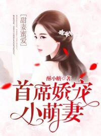 首席总裁的小逃妻全文阅读