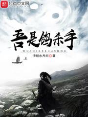 杀手穿越重生的 杀手穿越重生的