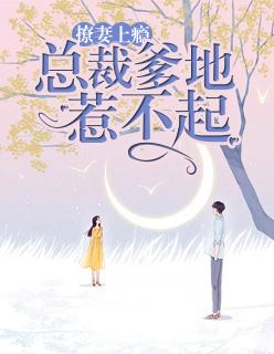 总裁爹地撩妻忙林濹歌 总裁爹地撩妻忙林濹歌