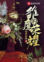 雏鹰的荣耀 雏鹰的荣耀