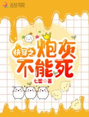 美女的贴身风水师免费阅读