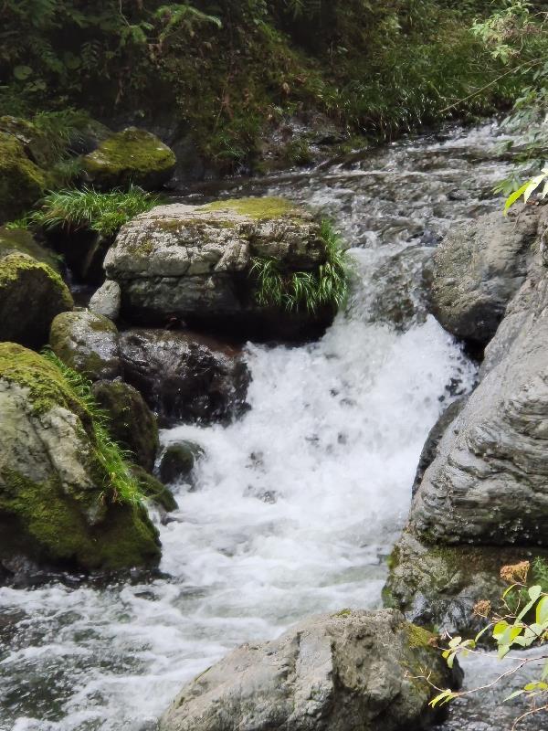 九歌一梦竞红尘 九歌一梦竞红尘