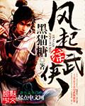 风起综武侠 风起综武侠