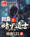 网游之暗黑道士 网游之暗黑道士