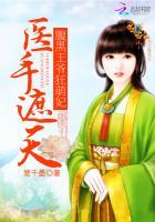 医手遮天:腹黑王爷狂萌妃 医手遮天:腹黑王爷狂萌妃