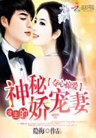 夺心掠爱:金主的神秘娇宠妻 夺心掠爱:金主的神秘娇宠妻