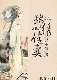 穿越之锦绣佳妻 穿越之锦绣佳妻